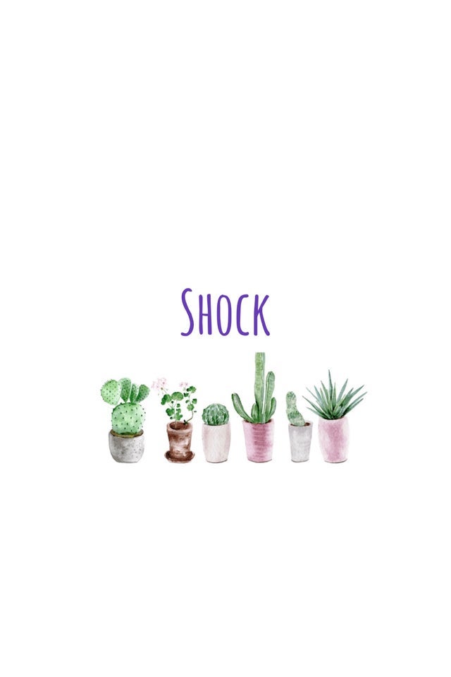 Shock peridot cactus boutique